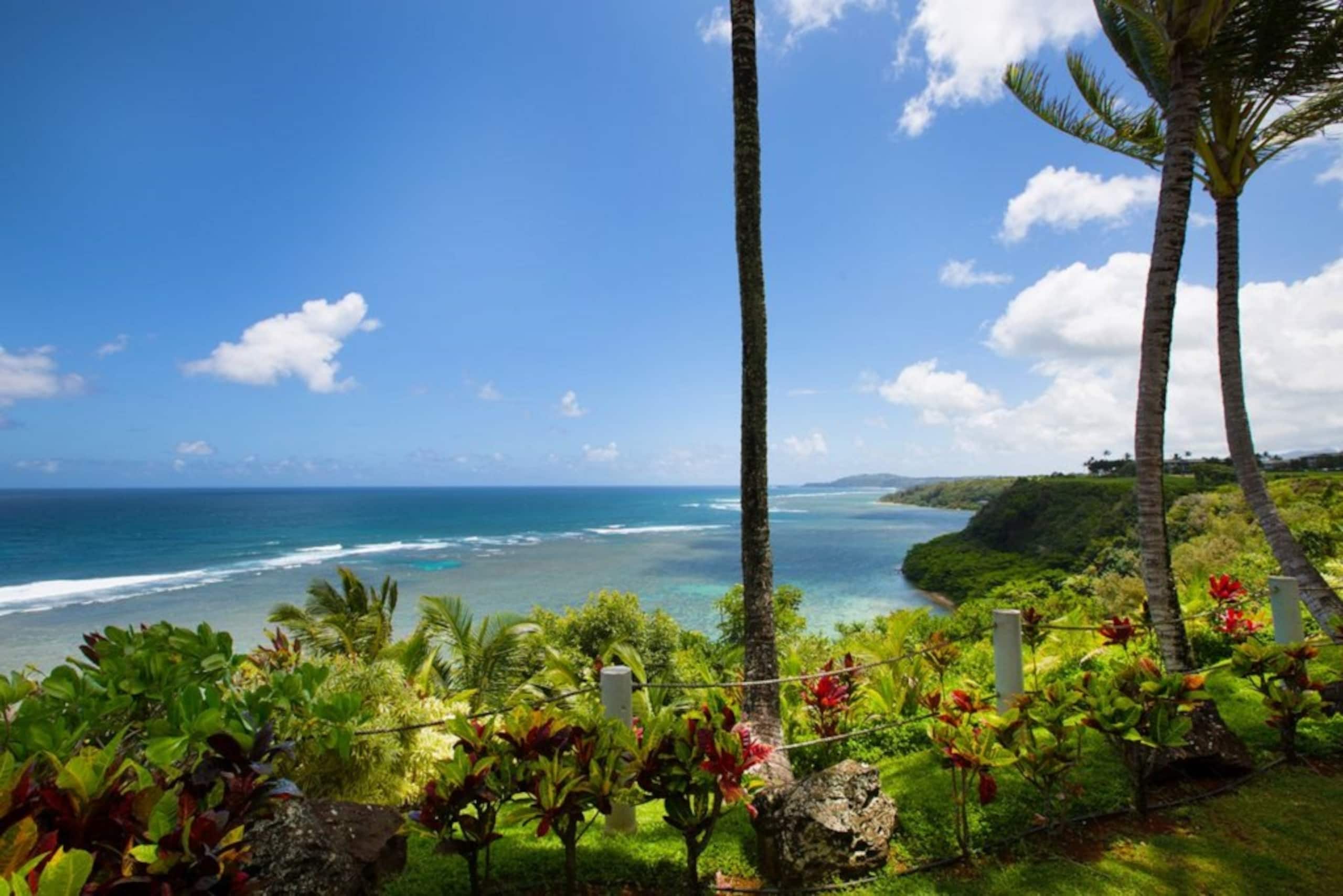 Oceanfront Condo with A/C - Image 20