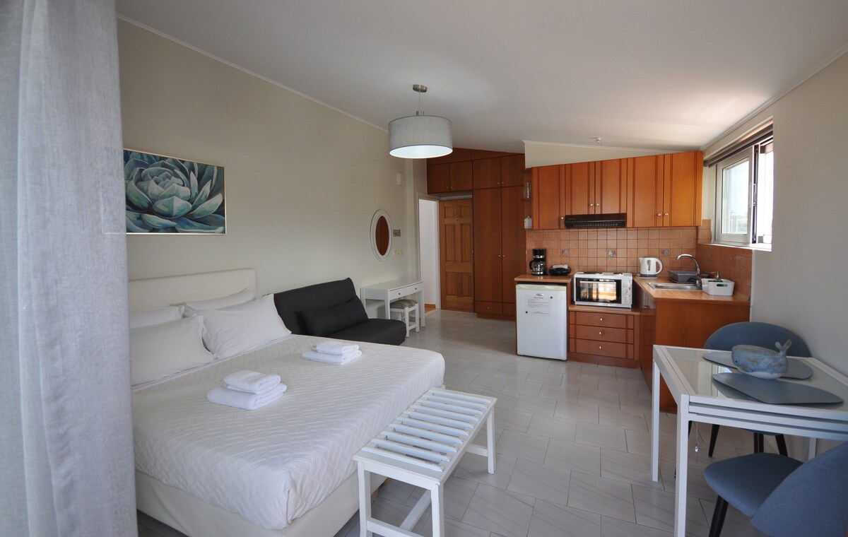 A spacious studio features a double bed with fresh linens, a comfortable sofa bed, and a dining area with a table and chairs. The kitchenette is equipped with a small fridge, cooking rings, and an oven. Natural light enters through large windows, highlighting the wood cabinetry.