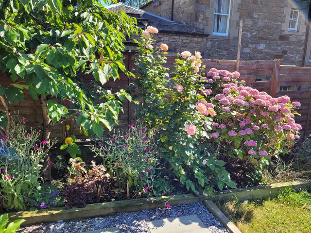 Rare Old town Georgian beautiful airfilled escape gallery image 2