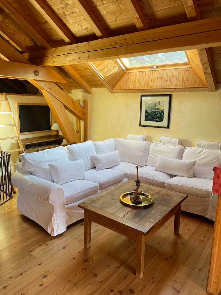 Appartement-chalet 4 éToiles - Valloire