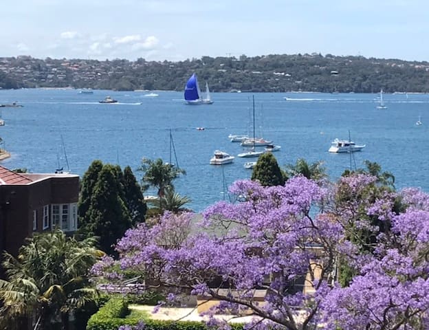 Great views Elizabeth Bay, Sydney Harbour