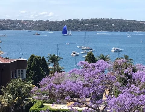 Successful Airbnb property: Views! Sydney Harbour Access to the best of Sydney in Elizabeth Bay