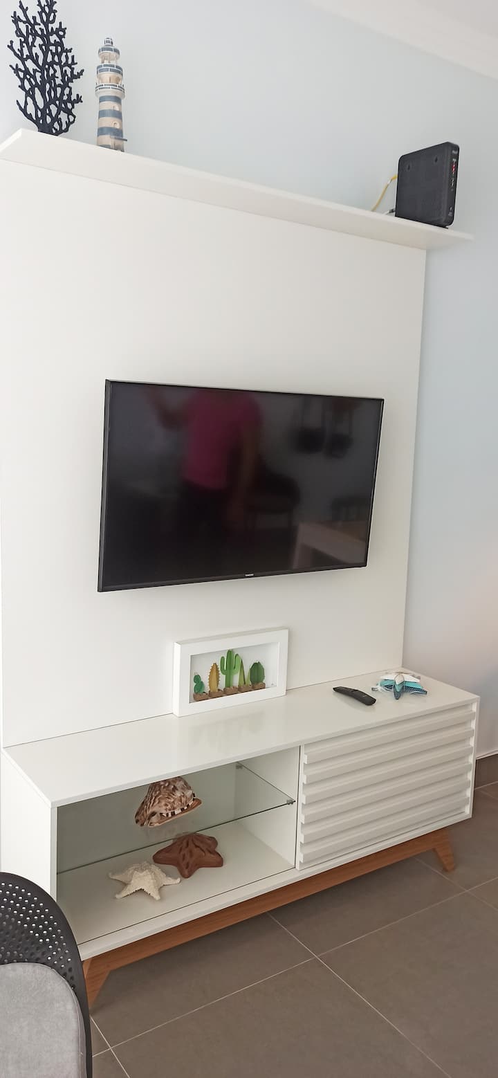 TV S  NETFLIXOM I OTVORENIM KANALIMA