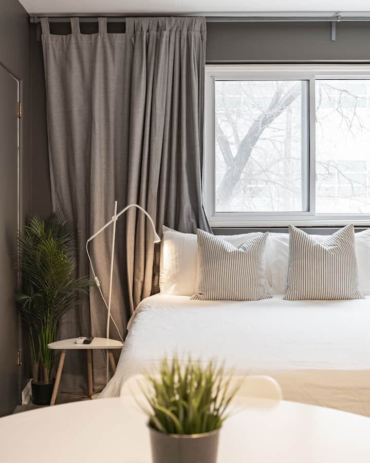 Renovated Bachelor/1 Bathroom Close To Hsc (E6) - Winnipeg
