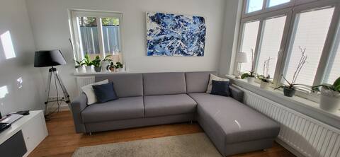80m2 apartment with fireplace