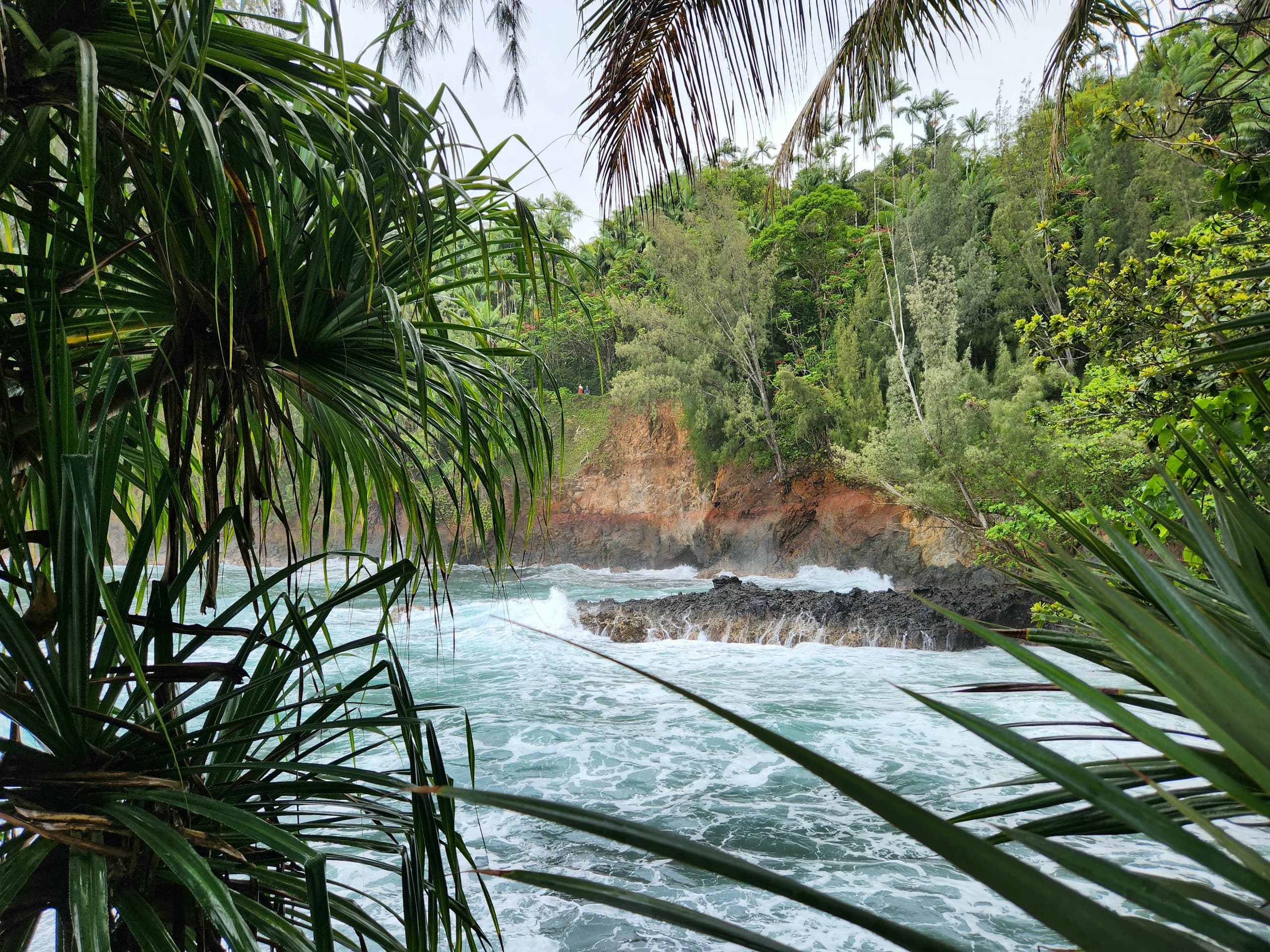 Home in Honokaa · ★4.95 · 3 bedrooms · 4 beds · 2 shared baths - Image 77