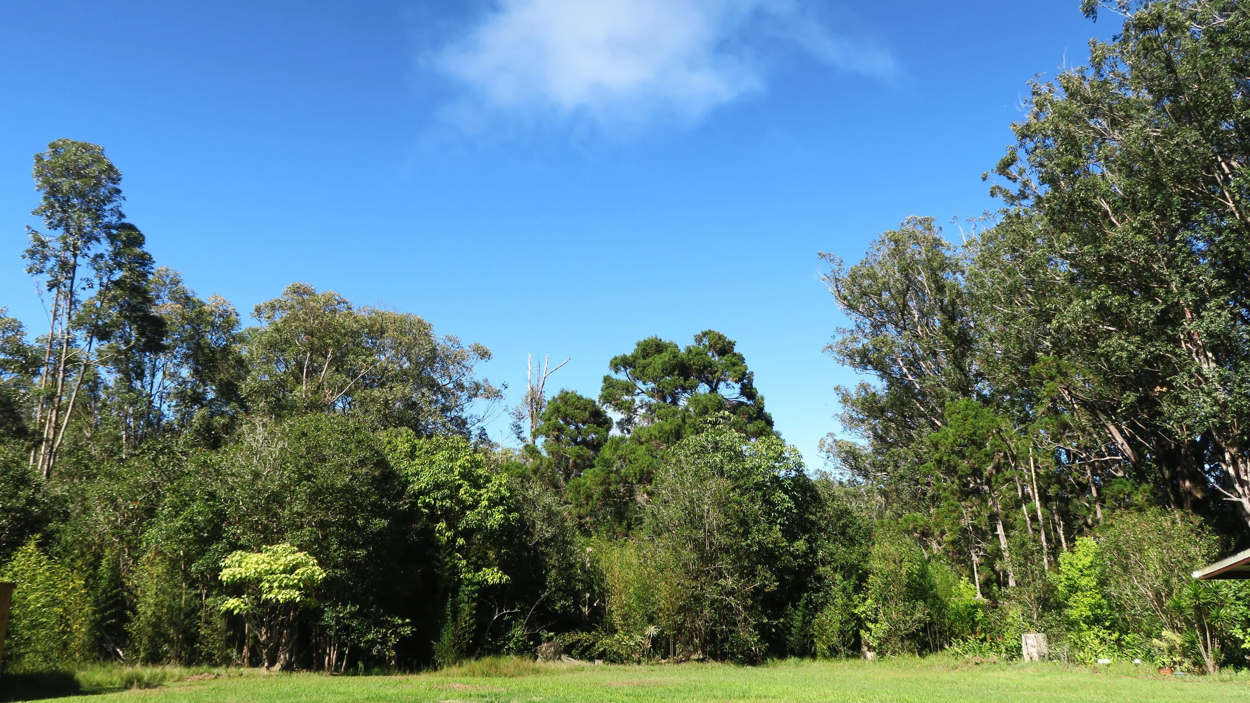 Home in Honokaa · ★4.95 · 3 bedrooms · 4 beds · 2 shared baths - Image 60