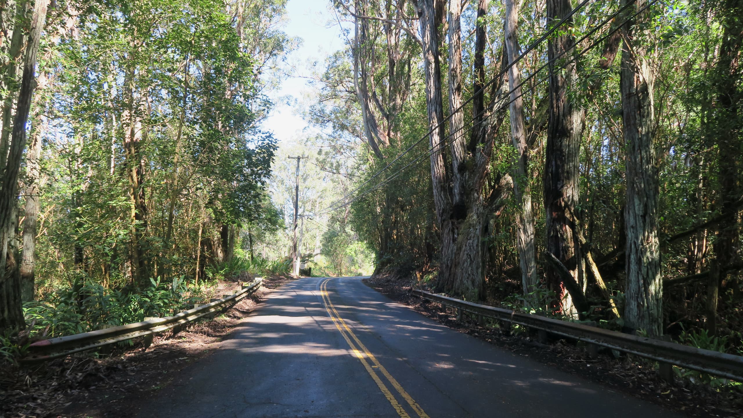 Home in Honokaa · ★4.95 · 3 bedrooms · 4 beds · 2 shared baths - Image 66