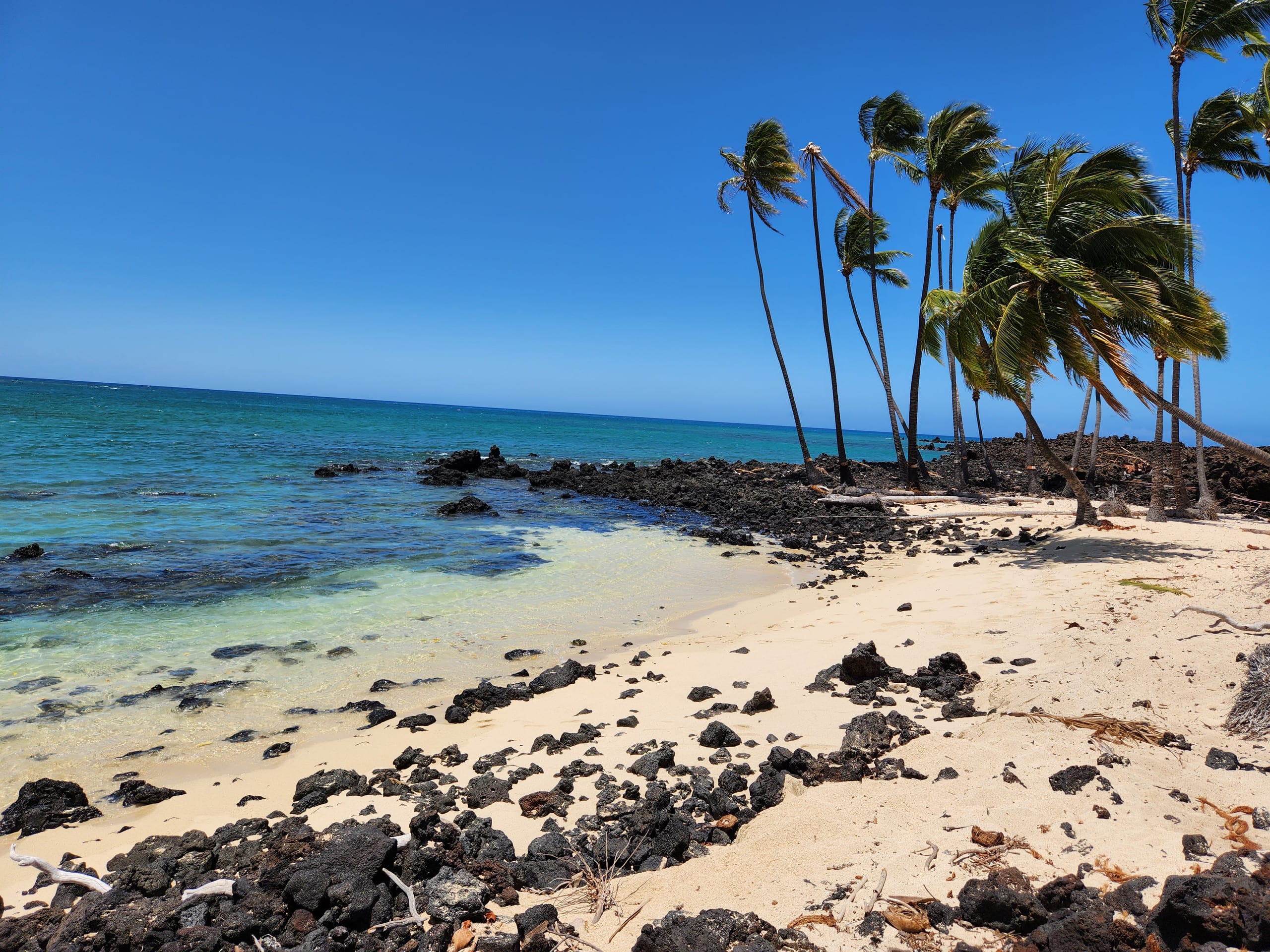 Home in Honokaa · ★4.95 · 3 bedrooms · 4 beds · 2 shared baths - Image 76
