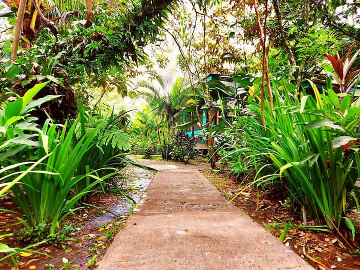 Have a nice cabin in Tortuguero