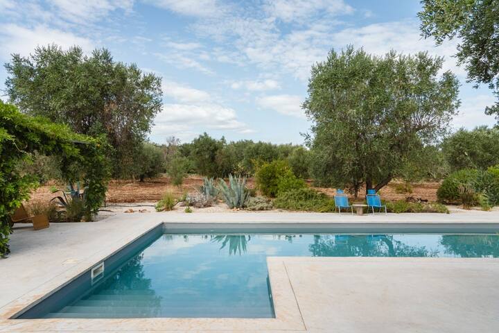 Casa Geco by Puglia Classics gallery image 5