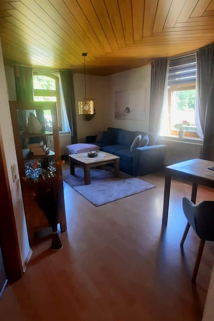 Gemütliche Wohnung Im Vogtland - Greiz