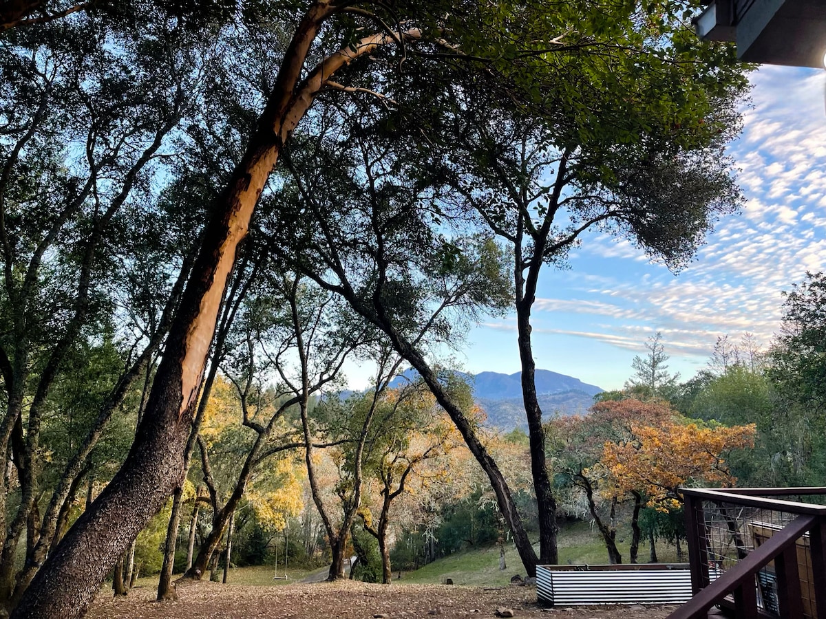 A serene view of the landscape is captured, featuring tall oak and madrone trees with varying autumn colors. In the distance, gentle hills rise under a partly cloudy sky, providing a tranquil backdrop for the peaceful surroundings.