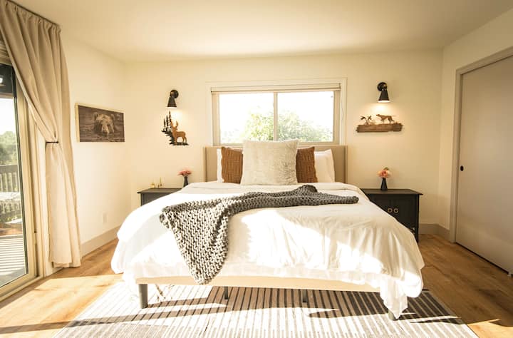 Master Bedroom with a plush King Sized bed.
