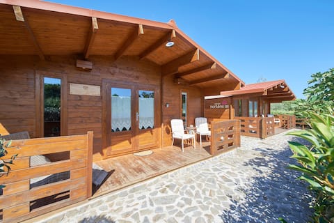 Lakeside Cabin Oasis w/ AC, By TimeCooler