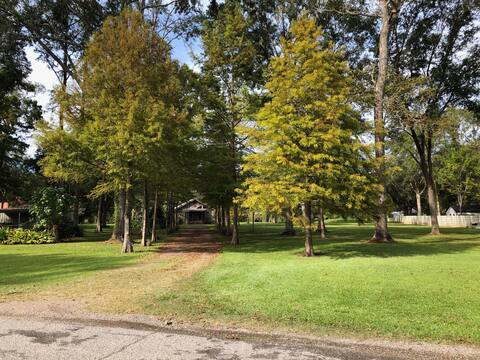 Stand Bayou Camp
