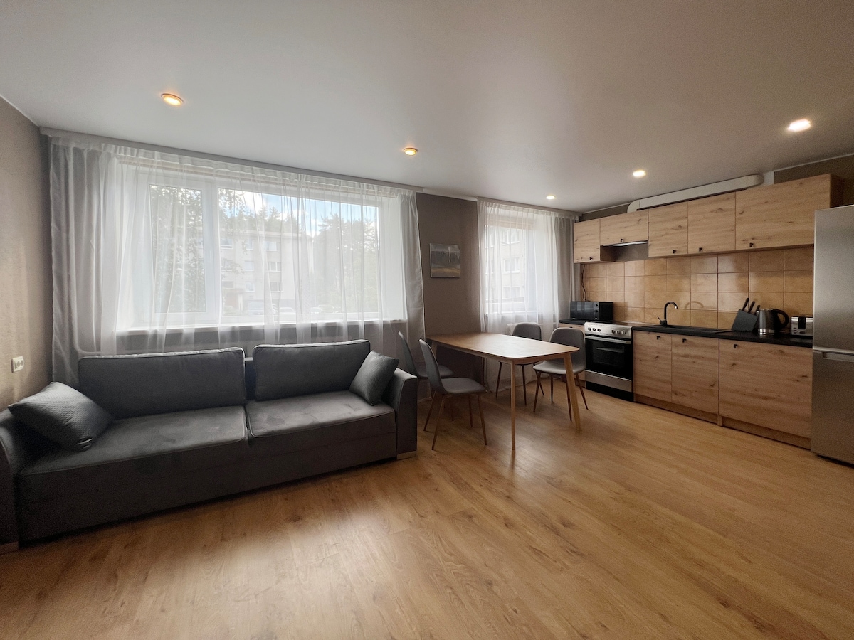 A modern living area features a comfortable gray sofa, a wooden dining table set with chairs, and a fully equipped kitchen. Large windows allow natural light to fill the space, contributing to a bright and airy atmosphere. Light wooden flooring enhances the overall design.