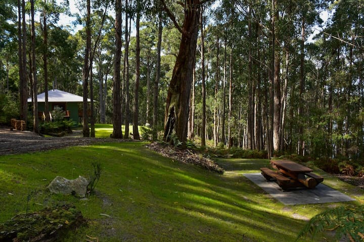 Hastings Bay Retreat – Idyllic Forest Hideaway!