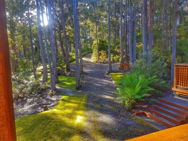 Hastings Bay Retreat – Idyllic Forest Hideaway! gallery image 5