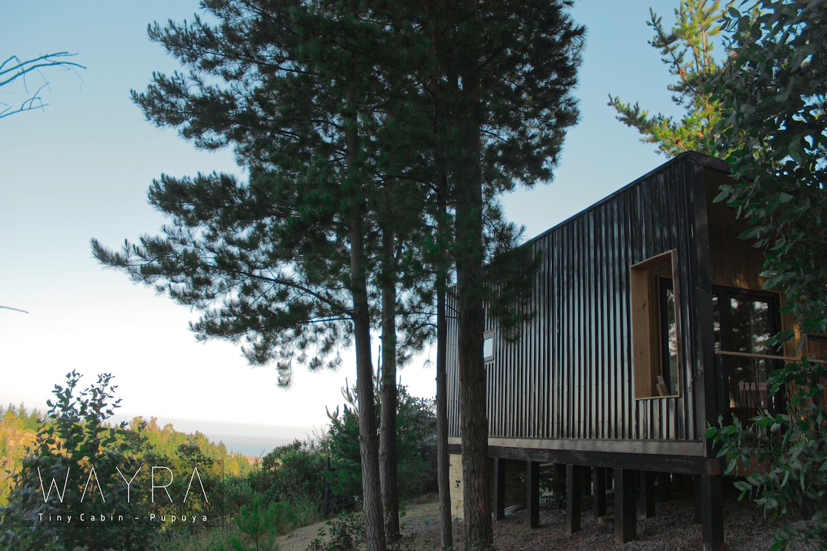 The exterior of a small cabin reveals a modern design, elevated on stilts amidst tall trees. Large windows provide a glimpse of the natural surroundings and the distant sea, while the wooden façade blends harmoniously with the forested landscape.