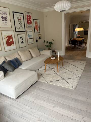 Spacious Apartment Copenhagen. gallery image 2