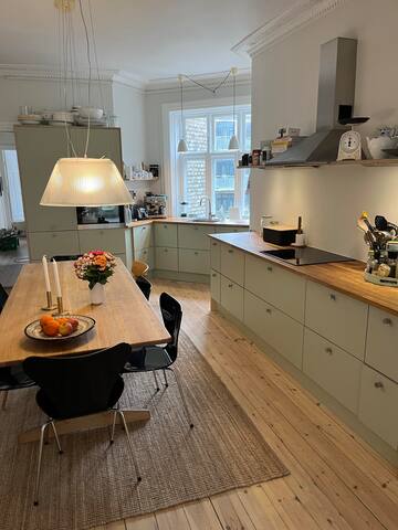 Spacious Apartment Copenhagen. gallery image 4