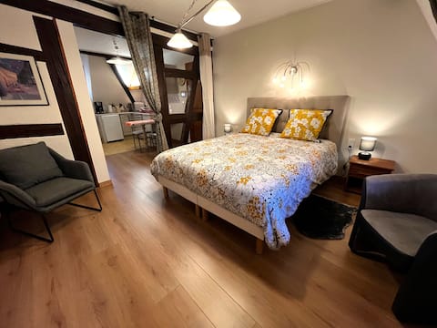 Propriété Airbnb réussie: Charming HANSI cottage, 2 people with Parking à Riquewihr