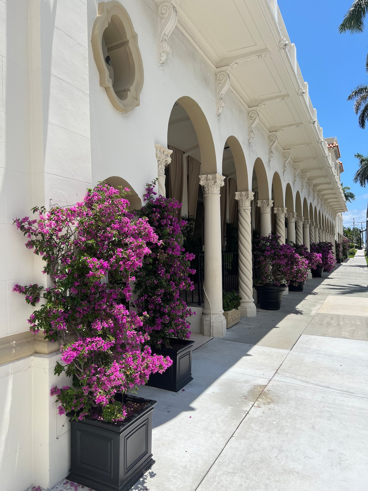 A row of elegant arches supports a white facade, with vibrant purple bougainvillea climbing up black planters along the walkway. Palm trees are visible in the background, contributing to the tropical ambiance in this inviting environment.