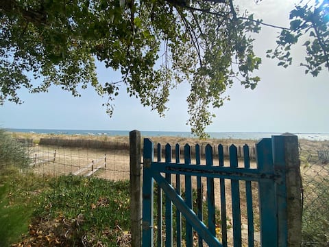 Beach level