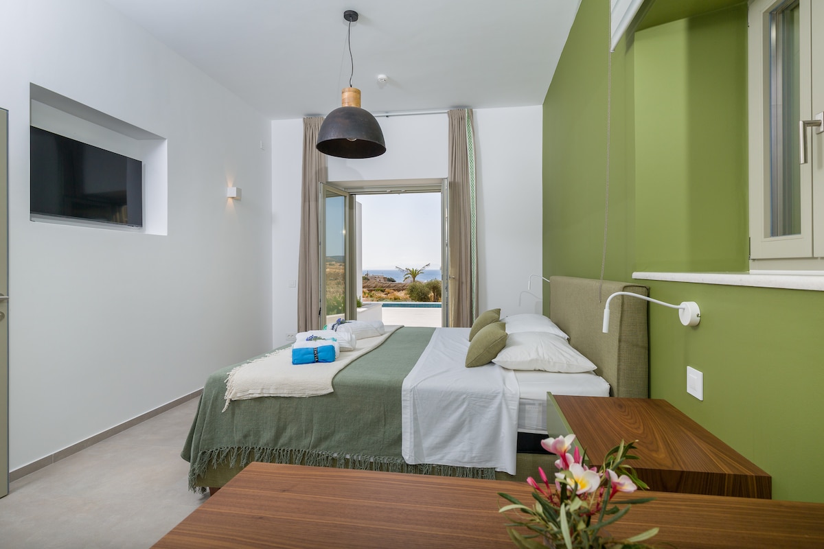 Მთავარი საძინებელი - ხედი საწოლიდან და სამუშაო სივრციდან