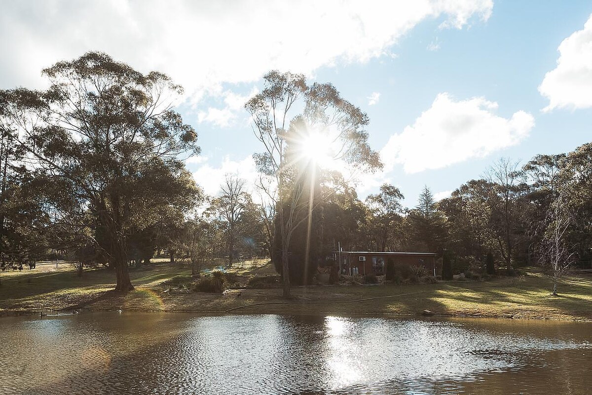 A serene landscape captures a log cabin by a calm body of water, framed by tall trees. Sunlight filters through branches, casting a warm glow on the exterior. The surrounding green lawn adds to the tranquil setting.