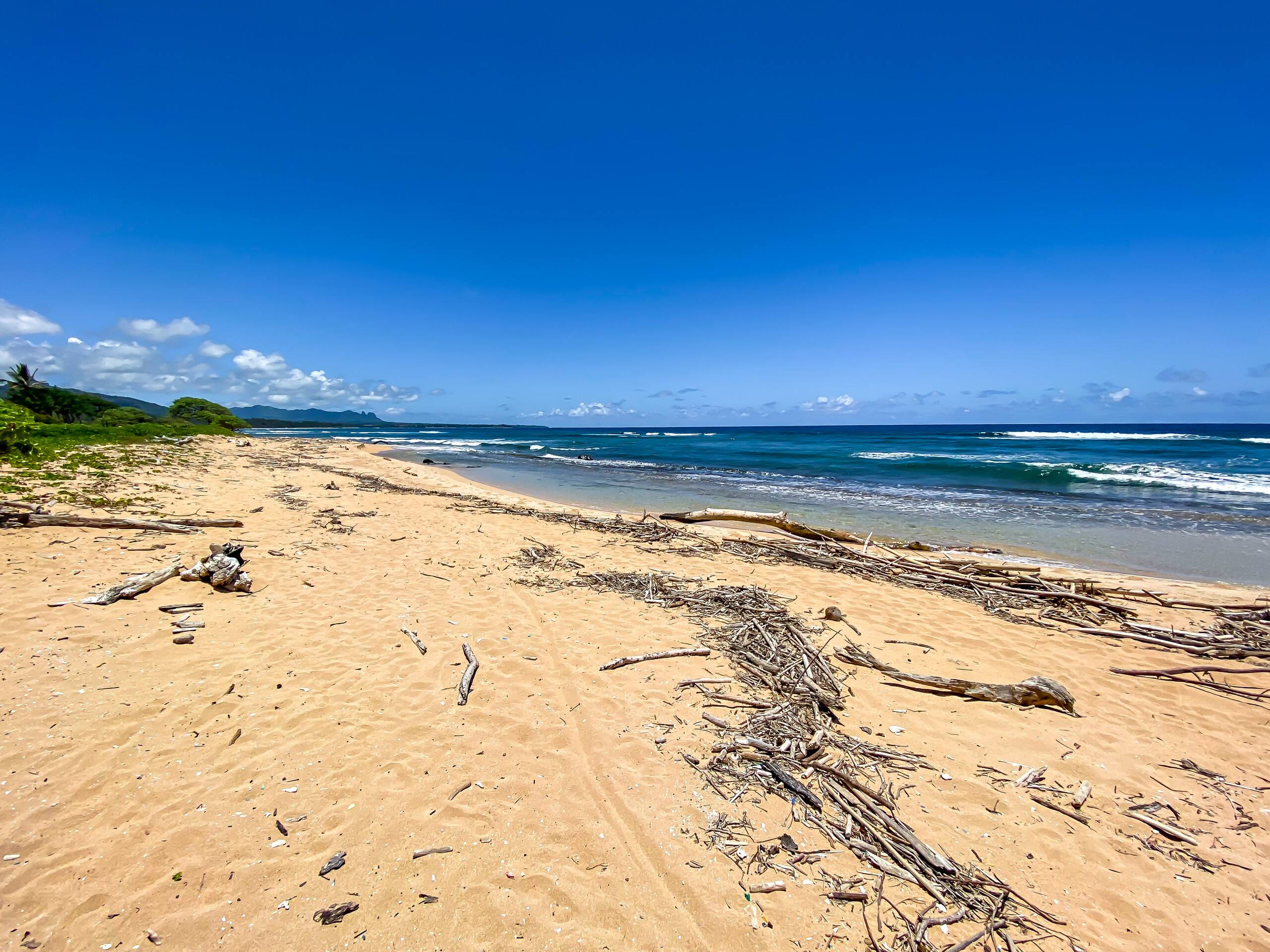 Condo in Lihue · ★4.36 · Studio · 1 bed · 1 shared bath - Image 58