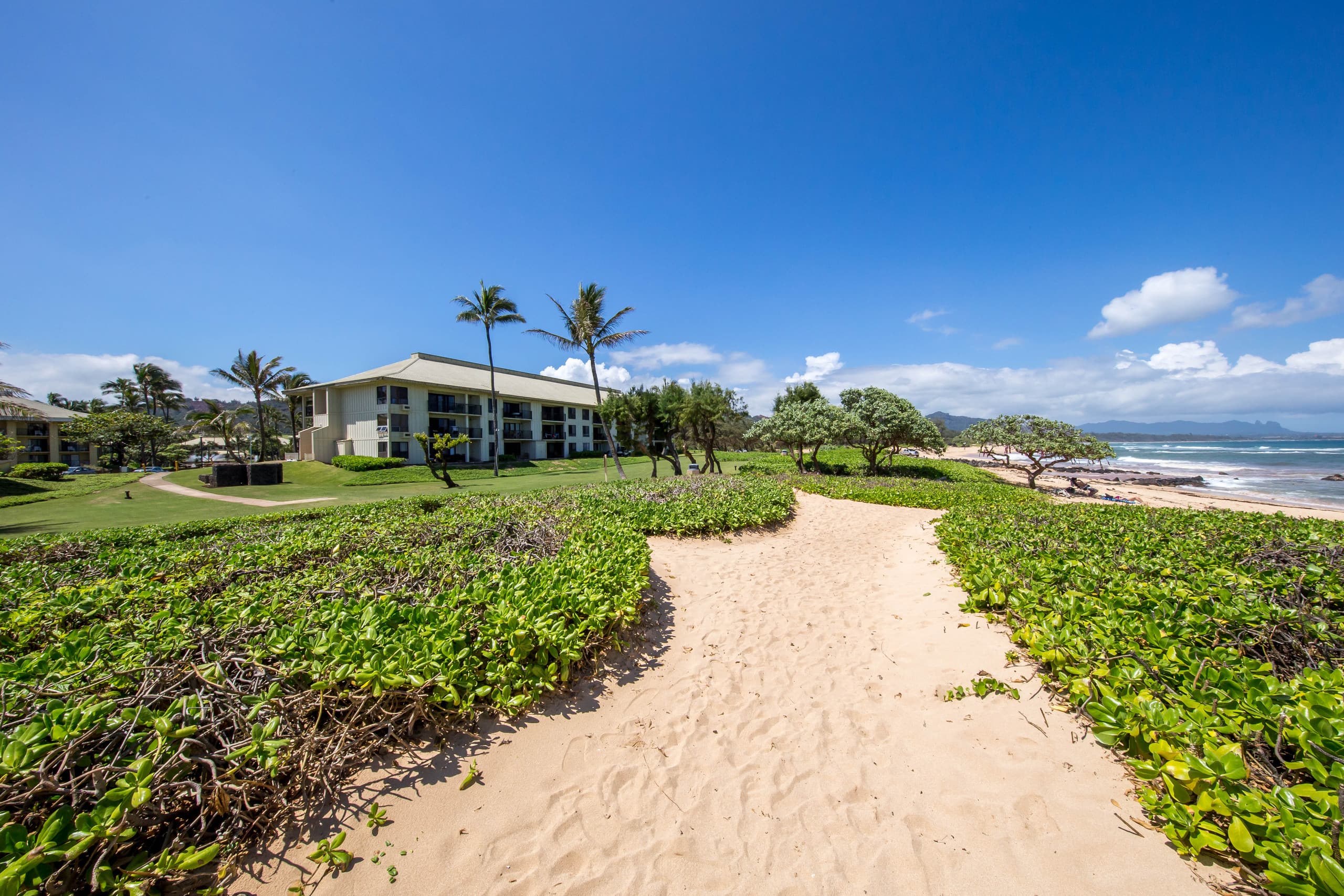 Condo in Lihue · ★4.36 · Studio · 1 bed · 1 shared bath - Image 50