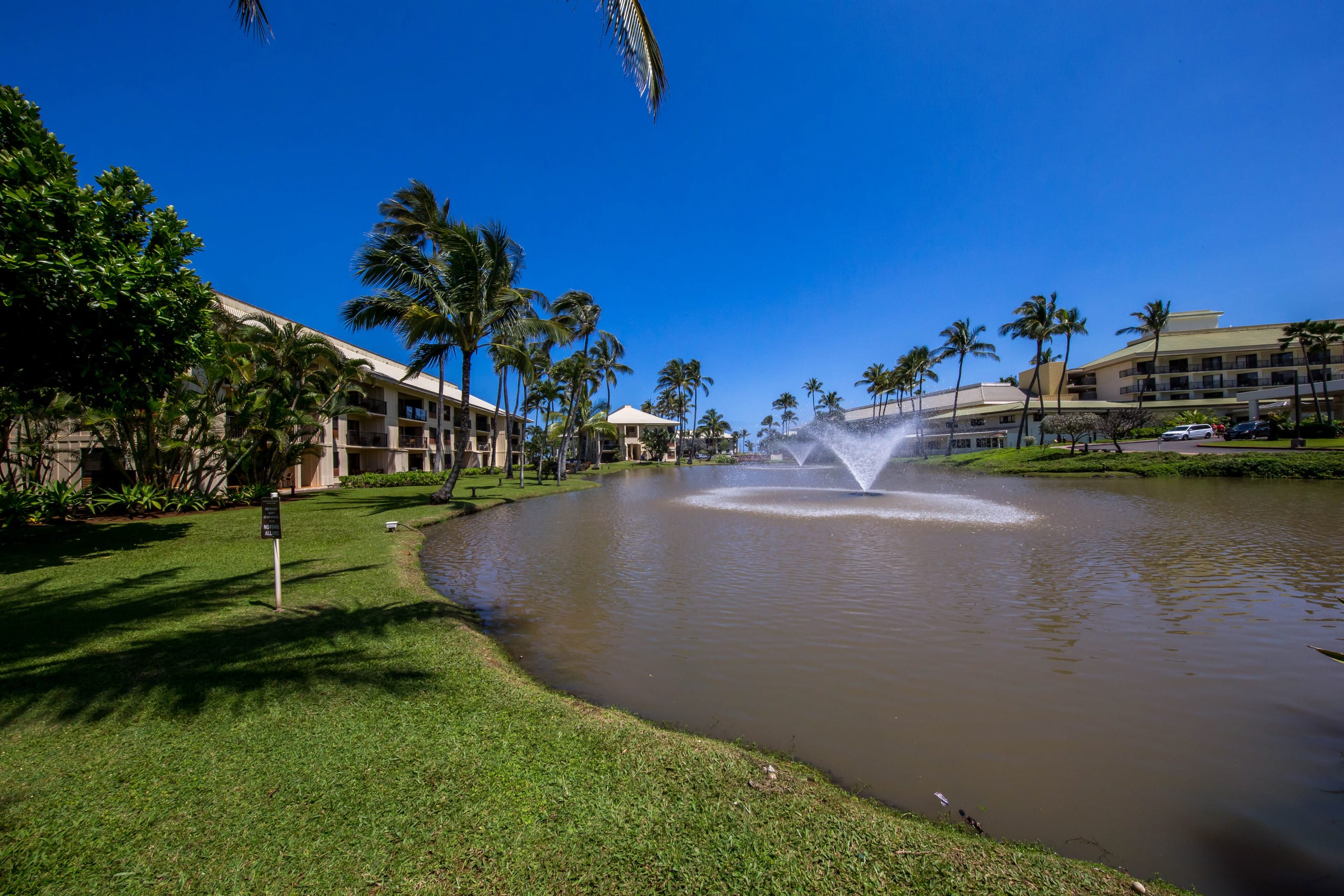 Condo in Lihue · ★4.36 · Studio · 1 bed · 1 shared bath - Image 14
