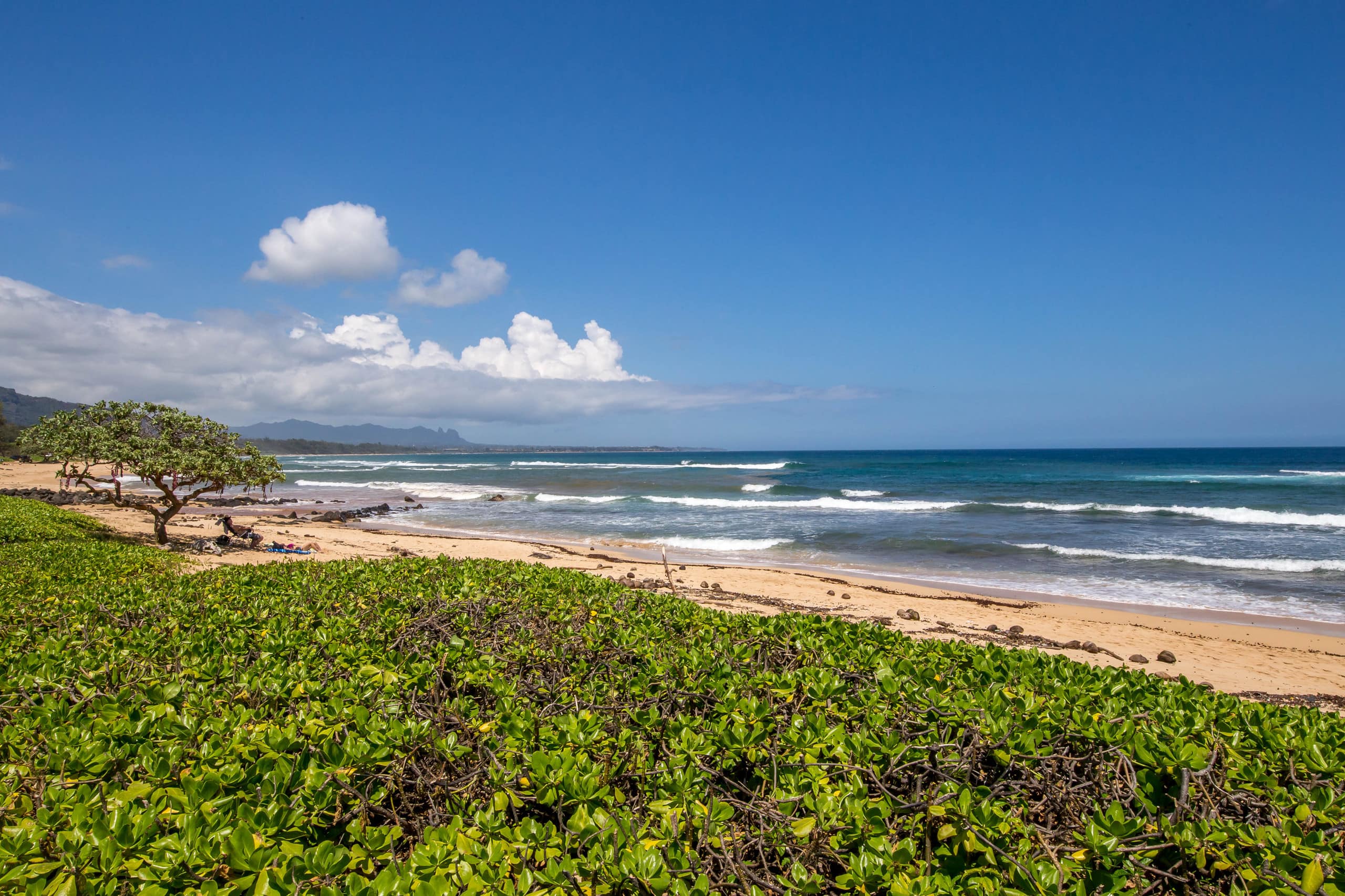 Condo in Lihue · ★4.36 · Studio · 1 bed · 1 shared bath - Image 51