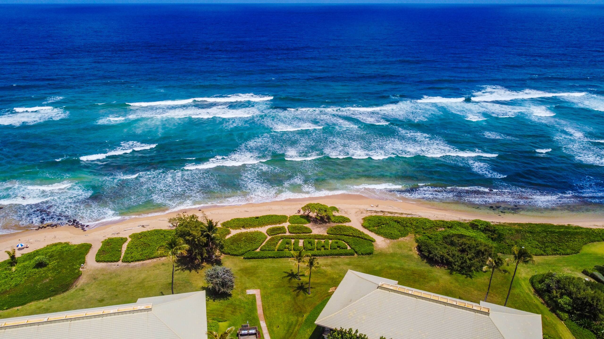 Condo in Lihue · ★4.36 · Studio · 1 bed · 1 shared bath - Image 38