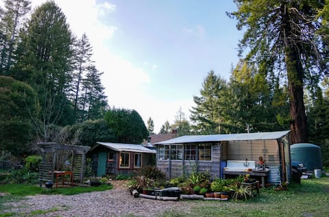 Love Shack in Coastal Redwoods