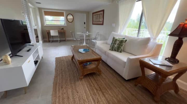 Living Room with sleeper sofa