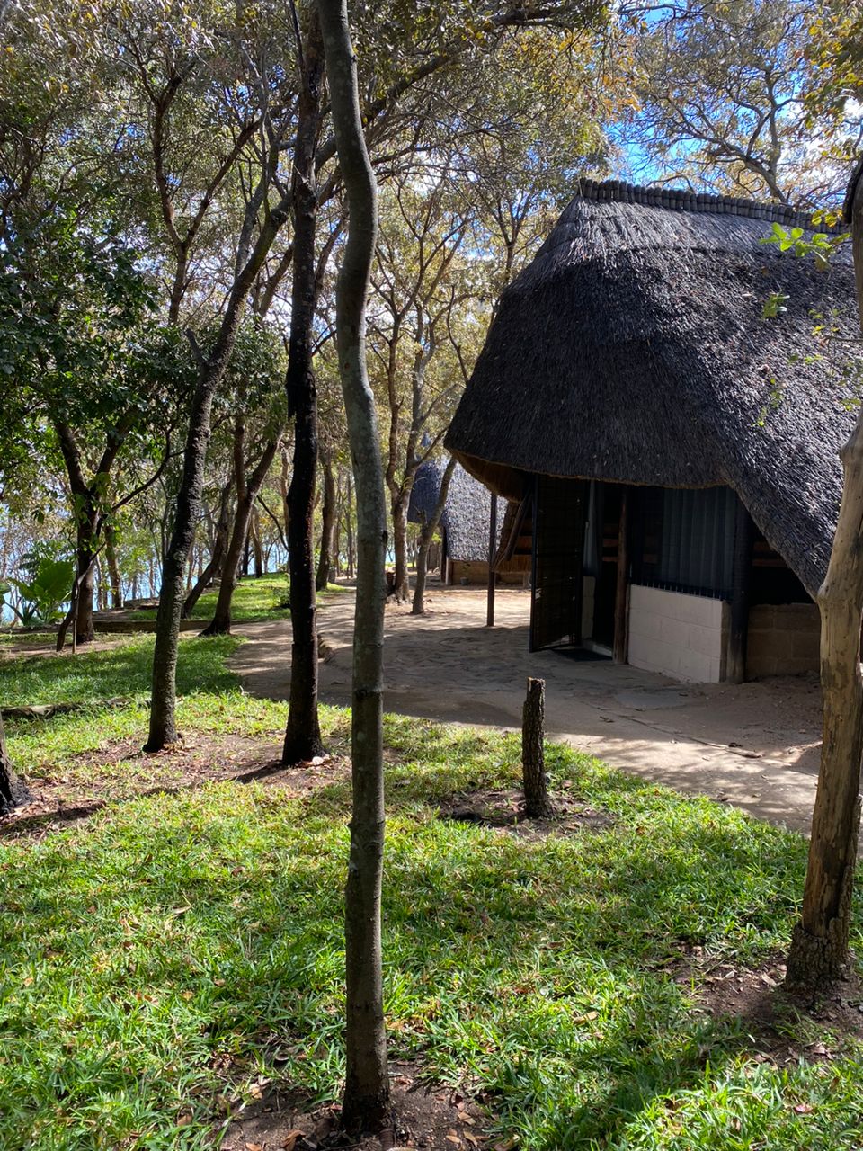 A thatched-roof lodge is partially visible among tall trees, set within a lush green landscape. The surrounding area features a sandy pathway leading towards the entrance of the lodge, with sunlight filtering through the foliage.