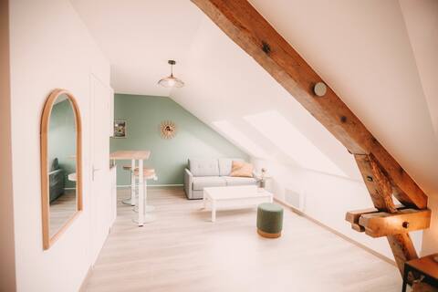 3 apartments in 1, charming Medieval district