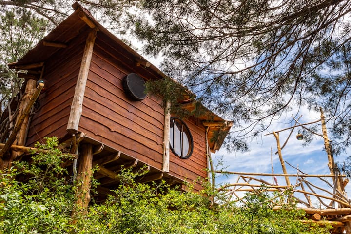 The Hobbit's Nest Treehouse - Treehouses for Rent in Paige, Texas
