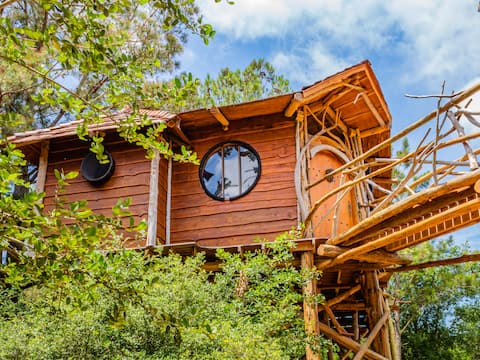 The Hobbit's Nest