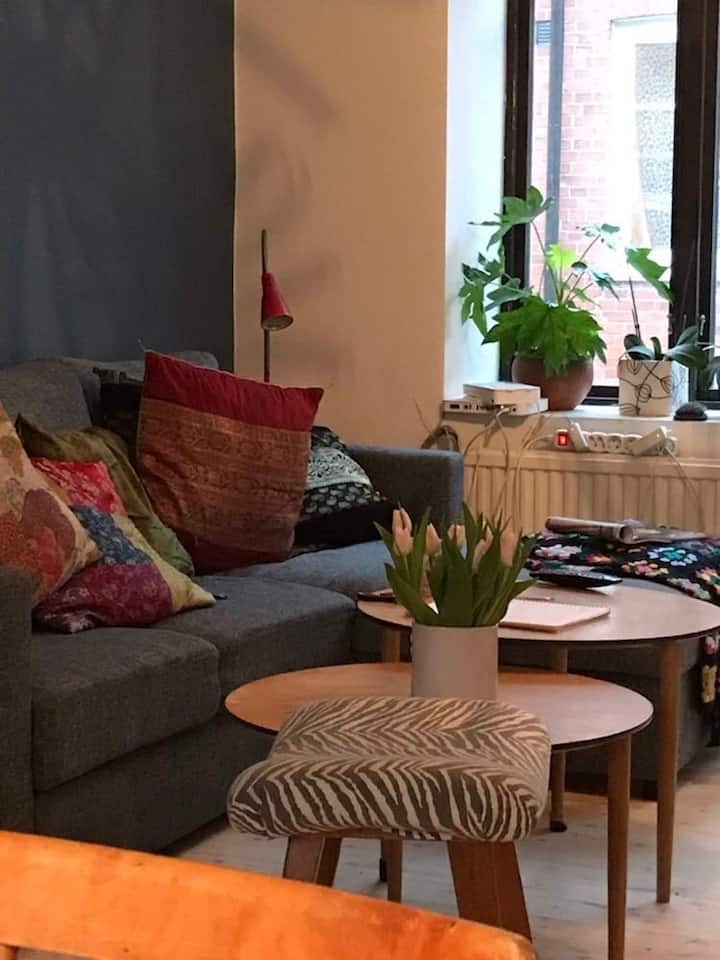 Cozy Central House With Garden - Malmö