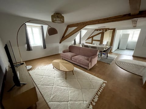 Beautiful renovated duplex near Strasbourg
