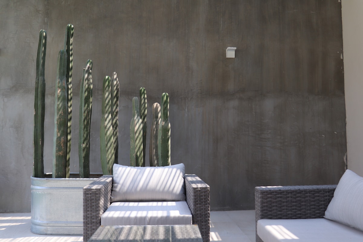 An outdoor seating area features two comfortable lounge chairs and a table, surrounded by tall, slender cacti in a metallic planter. The smooth, gray wall adds a modern touch, while dappled sunlight creates a relaxing ambiance.