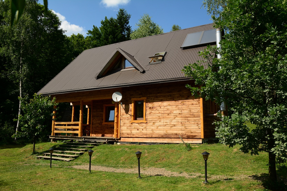 A wooden cabin with a sloped roof is surrounded by greenery, highlighting its rustic charm. Steps lead to a front porch, while large windows allow natural light to illuminate the interior. Solar panels are visible on the roof, blending eco-friendliness with nature.