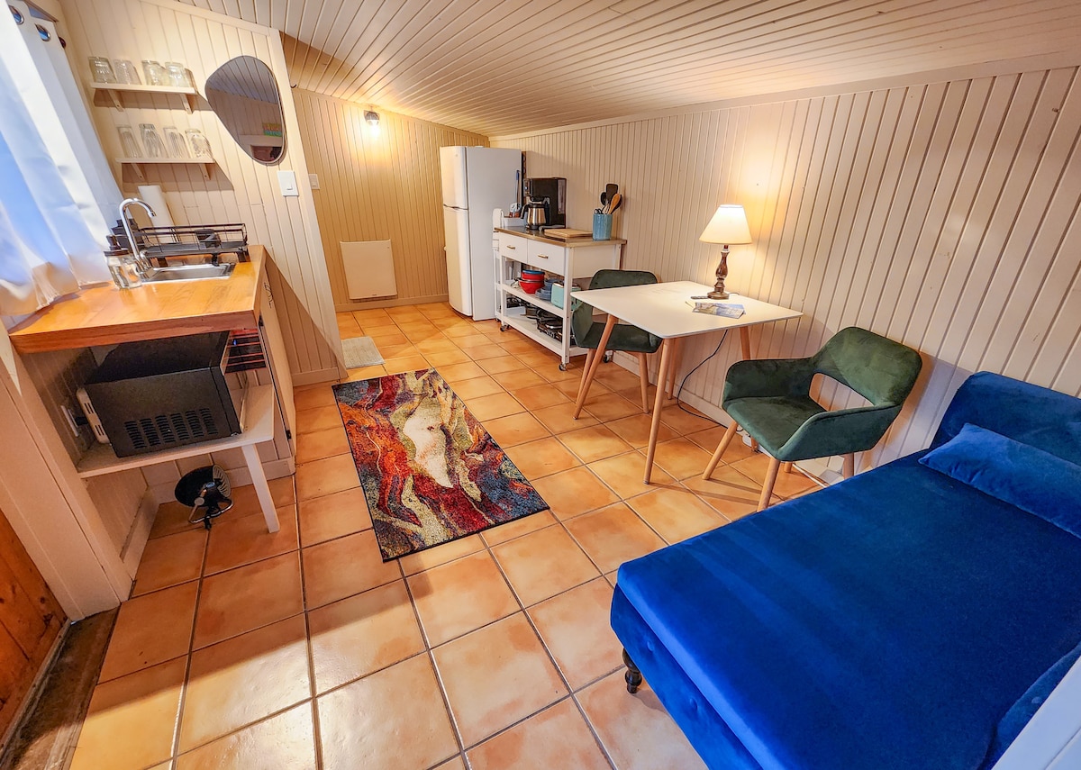 An open-concept living area features tiled flooring and warm wooden accents. A small kitchenette is equipped with appliances, complemented by a cozy dining table with two green chairs. A colorful area rug adds visual interest, while soft lighting from a lamp creates a welcoming ambiance.
