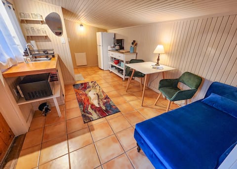 Successful Airbnb property: La Veta Casita in Southern Colorado Rural