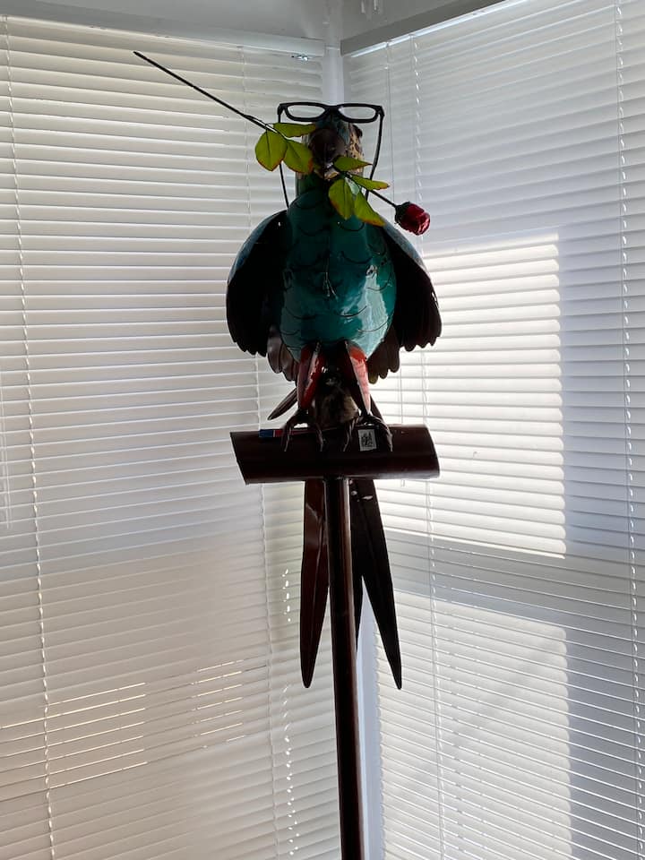 Stanage Sports Cave Parrot dà il benvenuto ai nostri ospiti d'onore... voi!