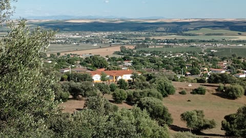 The Cigarra Cabin